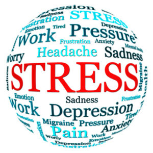 Managing Stress and Workload E-Learning Course Bundle